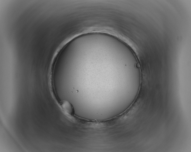 X0000112181525200908211450