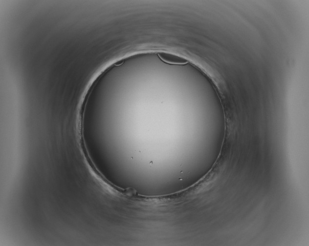 X0000112181527200908211450