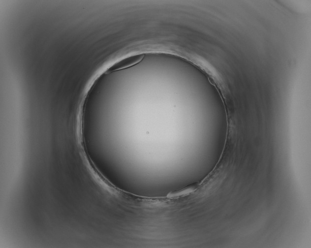 X0000112181528200908211450