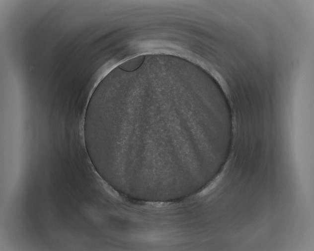 X0000112181529200908211450