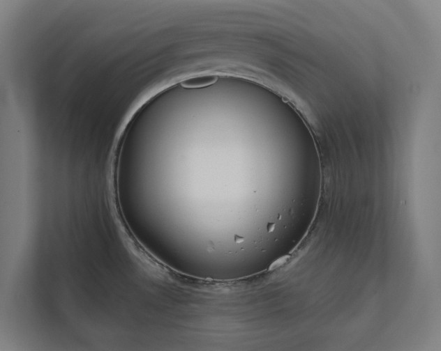 X0000112181530200908211450