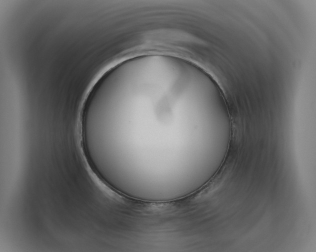 X0000112181531200908211450