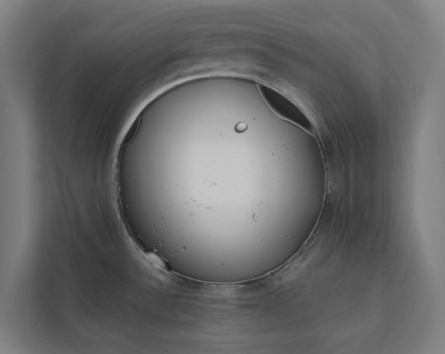 X0000112181532200908211450