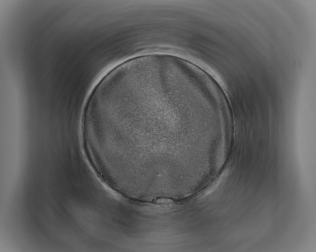 X0000112181533200908211450