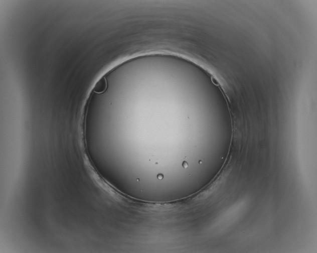 X0000112181534200908211450