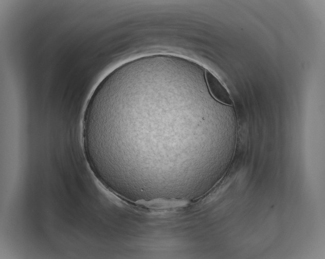 X0000112181535200908211450