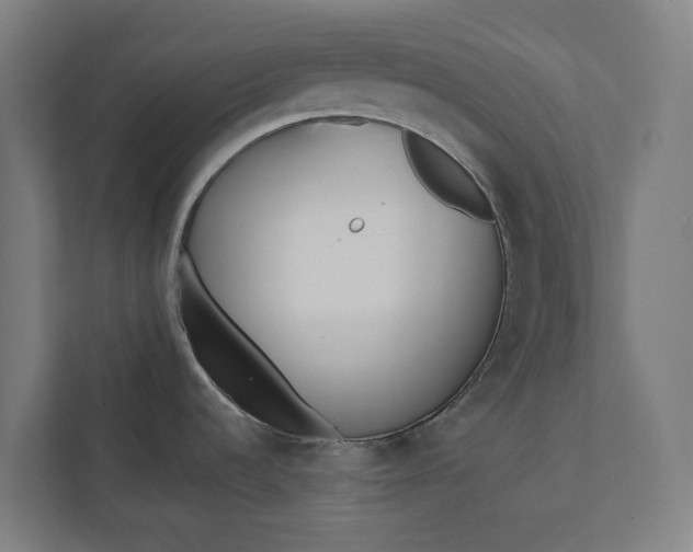 X0000112181536200908211450