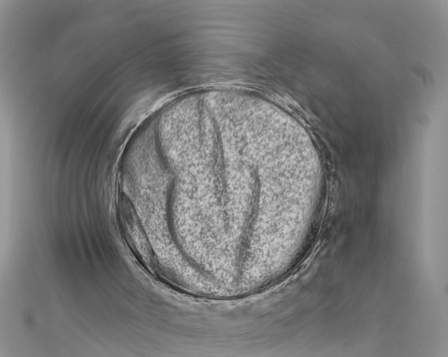 X0000112180002200908281412