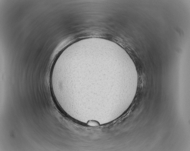 X0000112180004200908281412