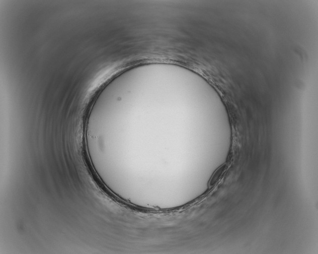 X0000112180005200908281412