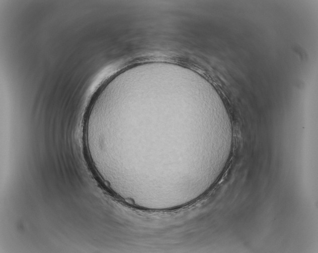 X0000112180006200908281412