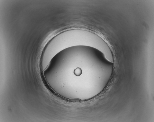 X0000112180007200908281412