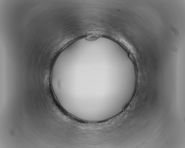 X0000112180009200908281412