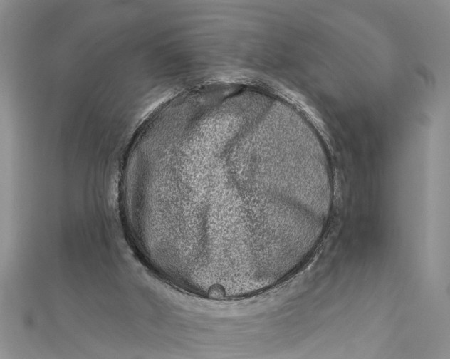 X0000112180010200908281412