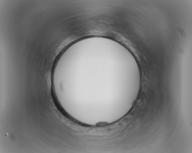 X0000112180011200908281412