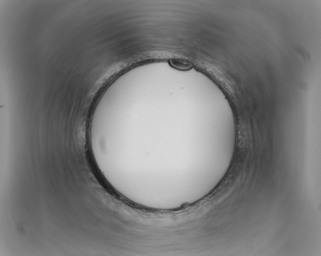 X0000112180015200908281411