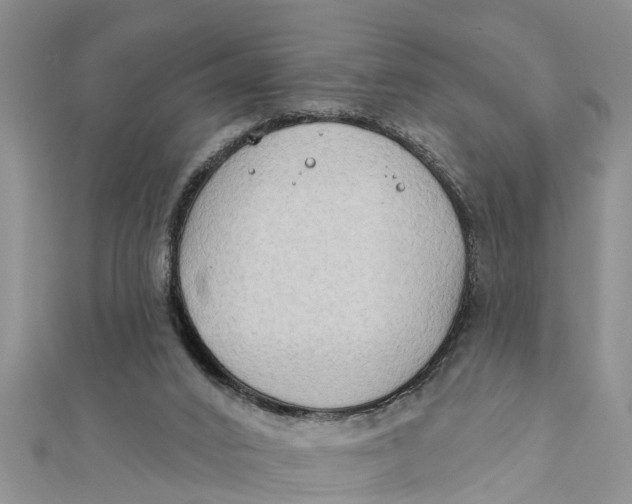 X0000112180016200908281411