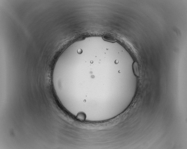 X0000112180017200908281411