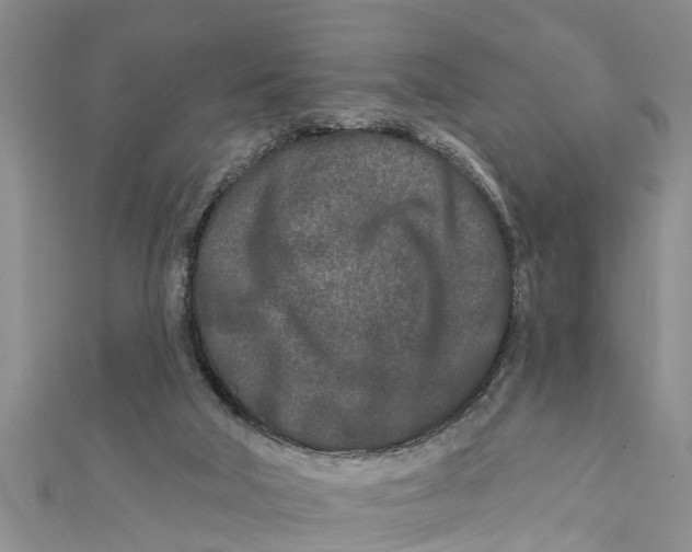 X0000112180018200908281411