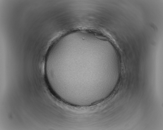 X0000112180019200908281411