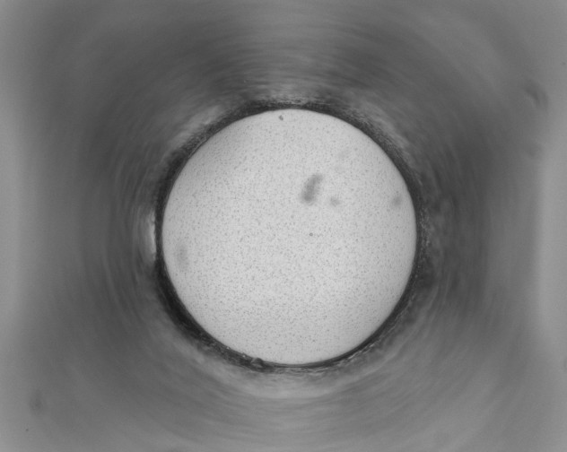 X0000112180020200908281411