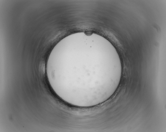 X0000112180021200908281411