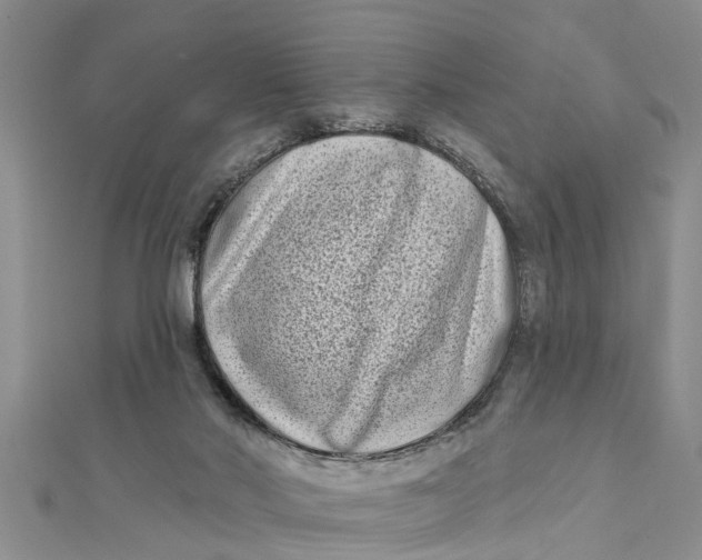 X0000112180022200908281411