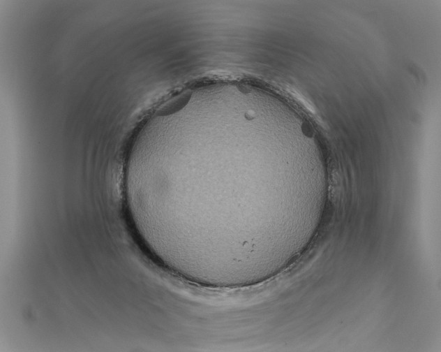 X0000112180023200908281411