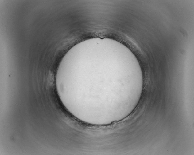 X0000112180025200908281411