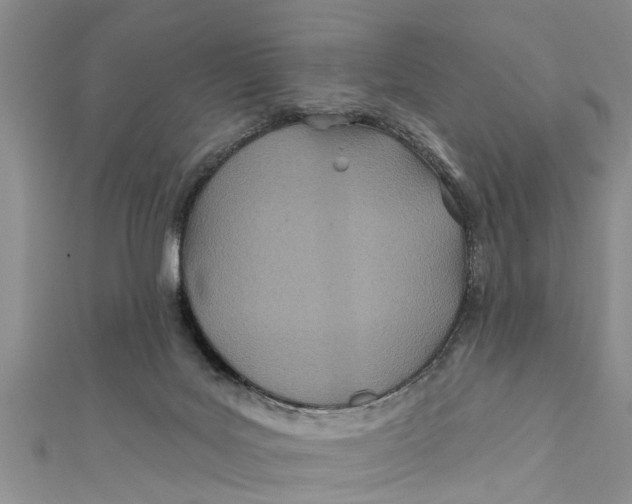 X0000112180027200908281411