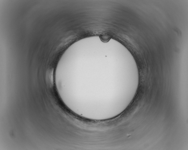 X0000112180028200908281411