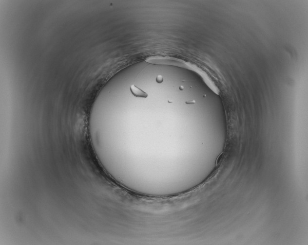 X0000112180029200908281411