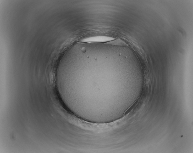 X0000112180031200908281411