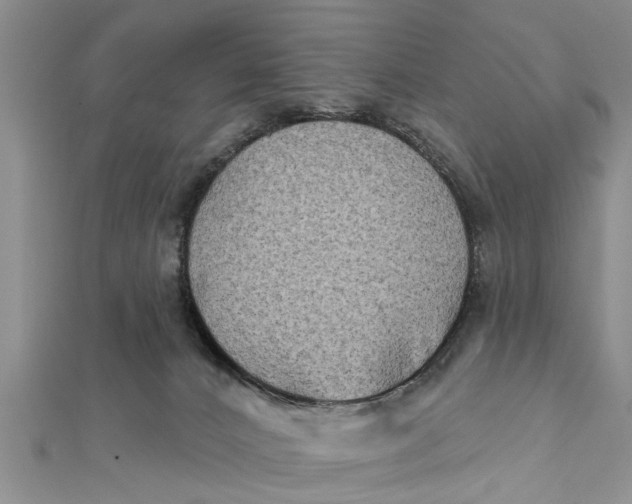 X0000112180032200908281411