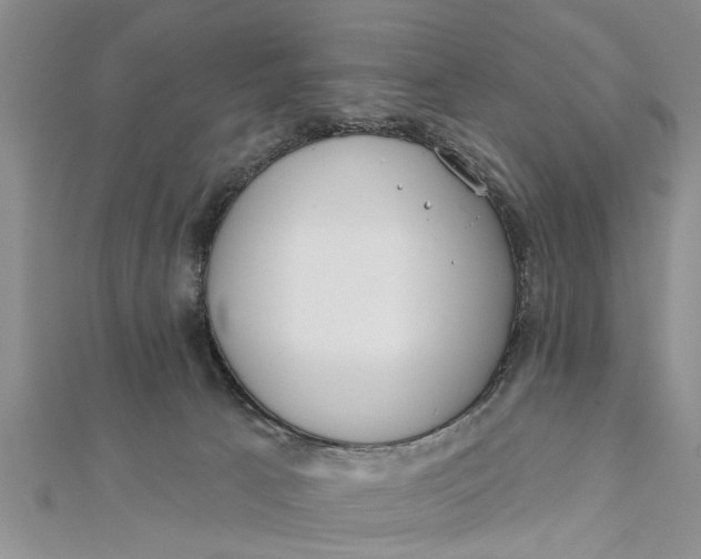 X0000112180033200908281411