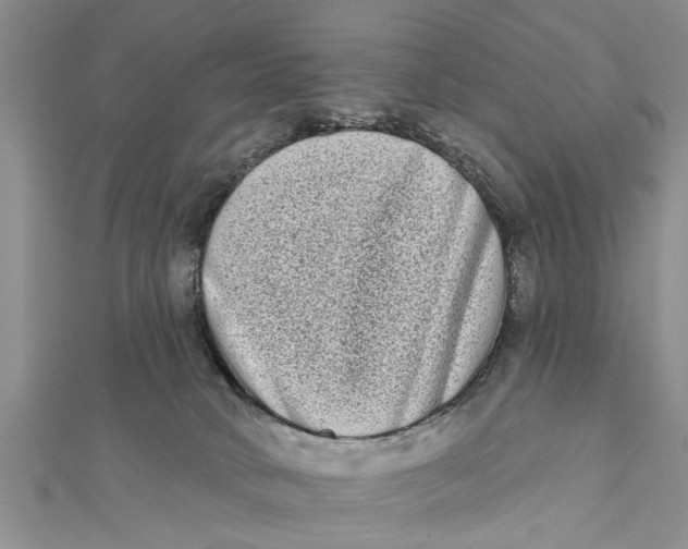 X0000112180034200908281411