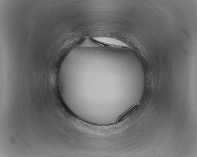 X0000112180035200908281411