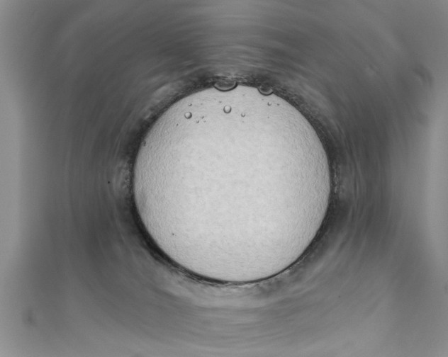 X0000112180036200908281411