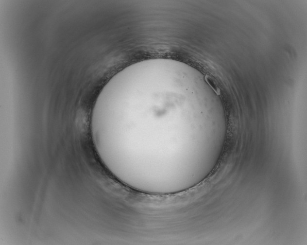 X0000112180037200908281411