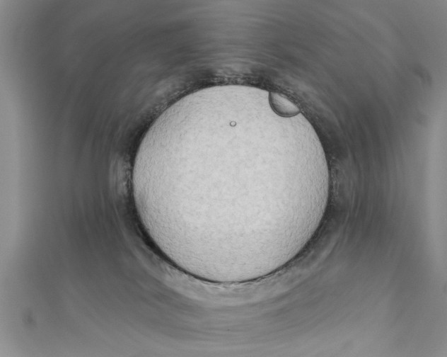 X0000112180038200908281411