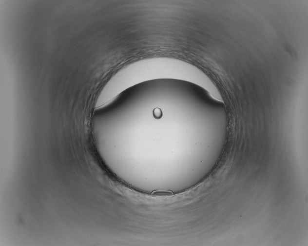 X0000112180039200908281411