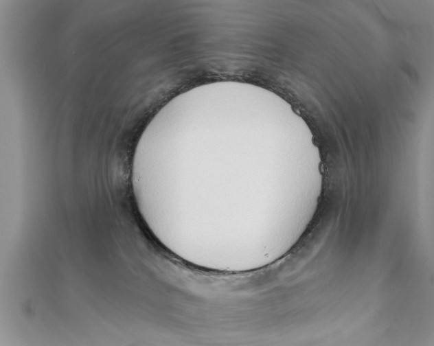 X0000112180040200908281411