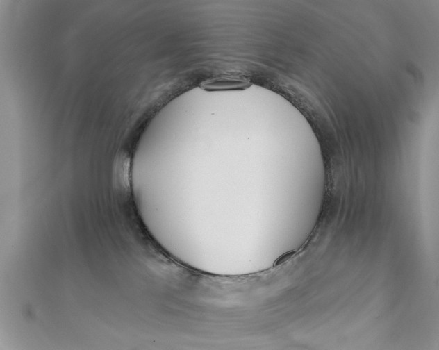 X0000112180041200908281411