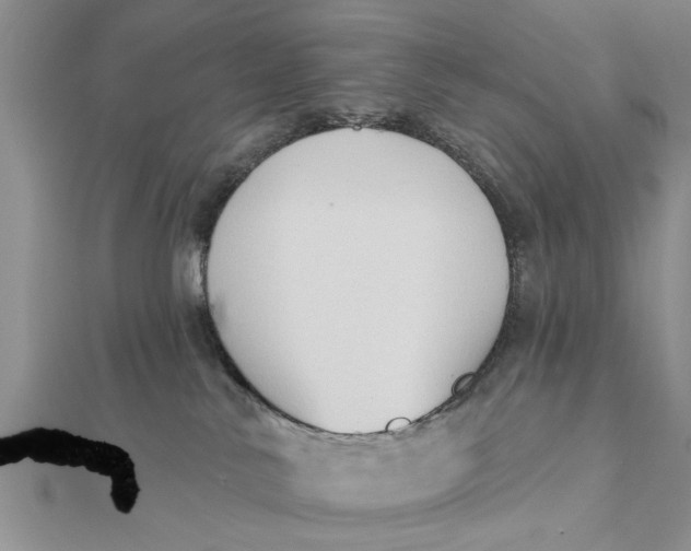 X0000112180042200908281411