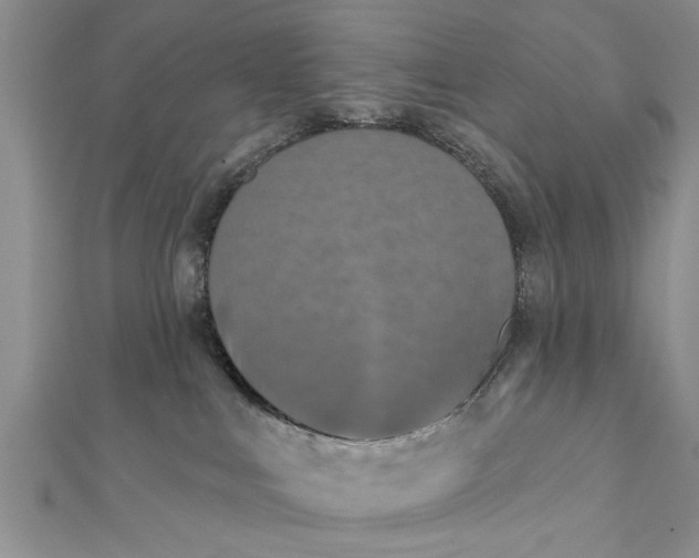 X0000112180043200908281411