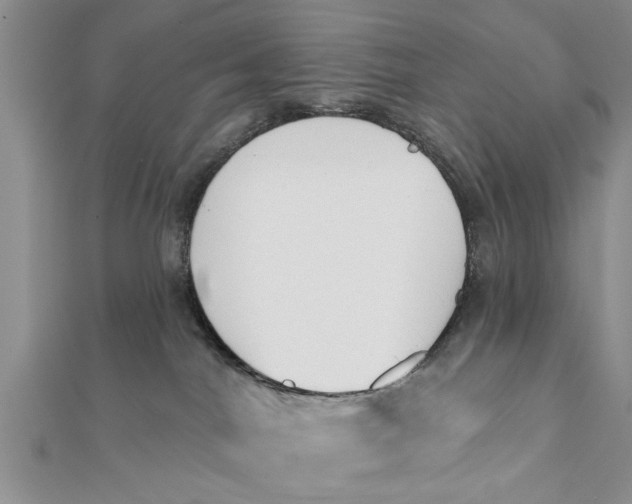 X0000112180044200908281411