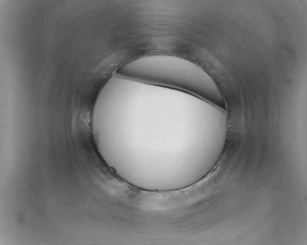 X0000112180045200908281411