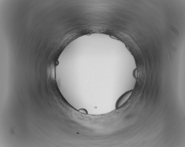 X0000112180046200908281411