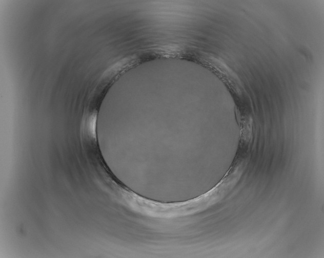 X0000112180047200908281411