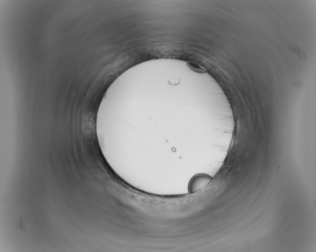 X0000112180048200908281411